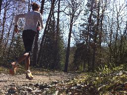 F&ouml;rmiddagens fantastisk l&ouml;ptur i skogen